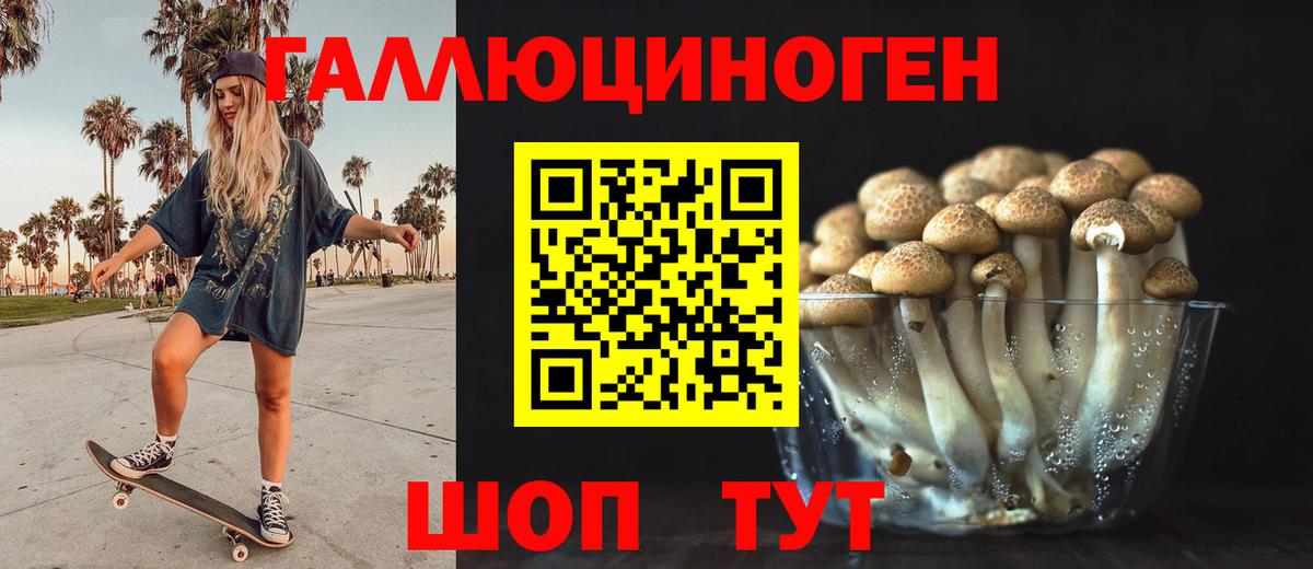Псилоцибиновые грибы Magic Shrooms  Галлюциногенные грибы Magic Shrooms  Киселёвск  Вход с VPN 